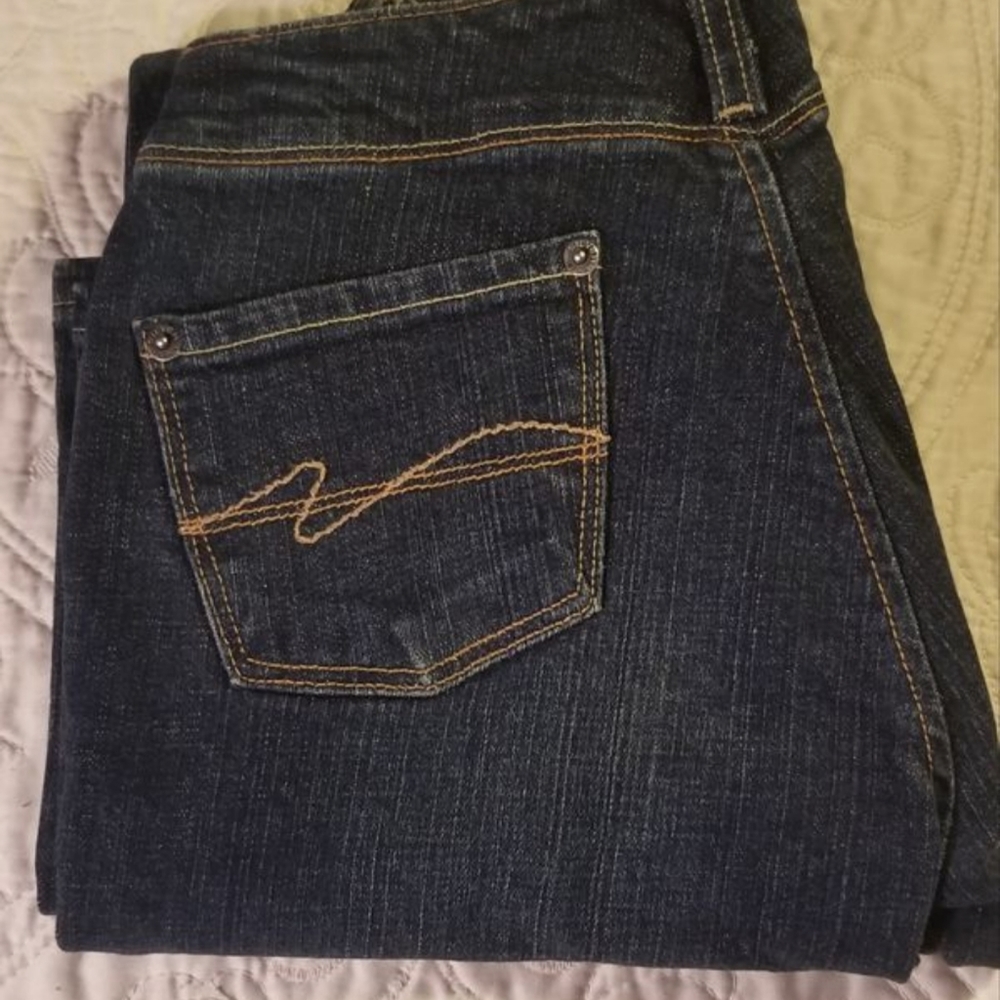Silver Brazil Boot Cut Womens Jeans/Measures 24"
